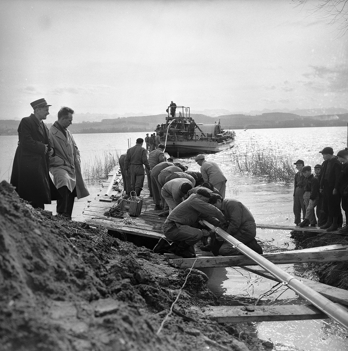 585072893 – Foto: KEYSTONE/Photopress-Archiv/ Widmer 585072893 – Foto: KEYSTONE/Photopress-Archiv/ Widmer