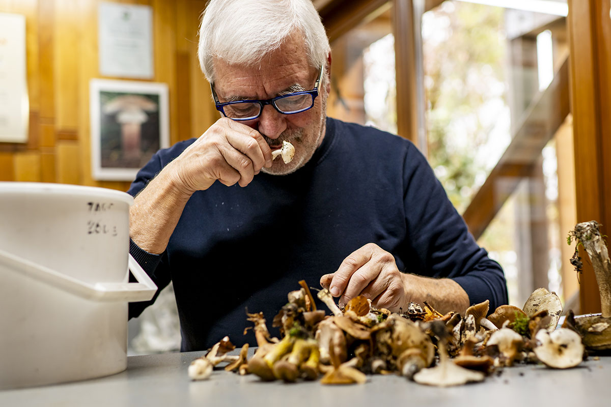 683693944 – Foto: KEYSTONE/Jean-Christophe Bott