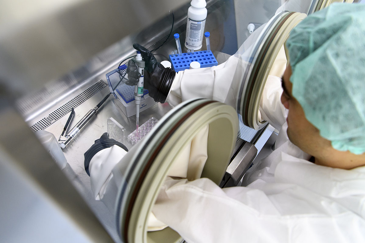 Ein Produktionsmitarbeiter arbeitet am 10. Januar 2019 im Biopole in Epalinges mit einem Isolator in einer Reinraumeinheit des Zellproduktionslabors für Immuntherapie der Onkologieabteilung des Zentrums für experimentelle Therapien der Krebsforschung am Centre Hospitalier Universitaire Vaudois (CHUV). Foto: Keystone-SDA/Laurent Gilliéron Ein Produktionsmitarbeiter arbeitet am 10. Januar 2019 im Biopole in Epalinges mit einem Isolator in einer Reinraumeinheit des Zellproduktionslabors für Immuntherapie der Onkologieabteilung des Zentrums für experimentelle Therapien der Krebsforschung am Centre Hospitalier Universitaire Vaudois (CHUV). Foto: Keystone-SDA/Laurent Gilliéron